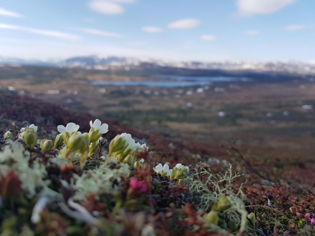 Renfjaellsgarden Hostel Edsasdalen Екстериор снимка