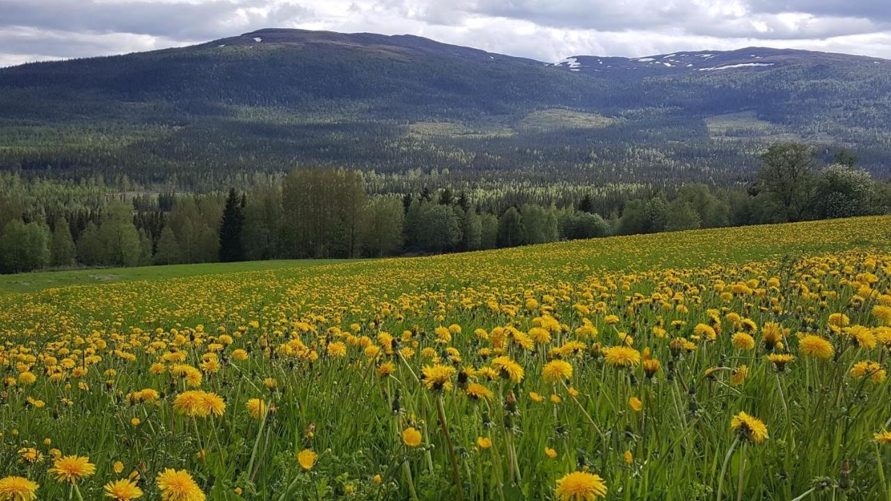 Renfjaellsgarden Hostel Edsasdalen Екстериор снимка