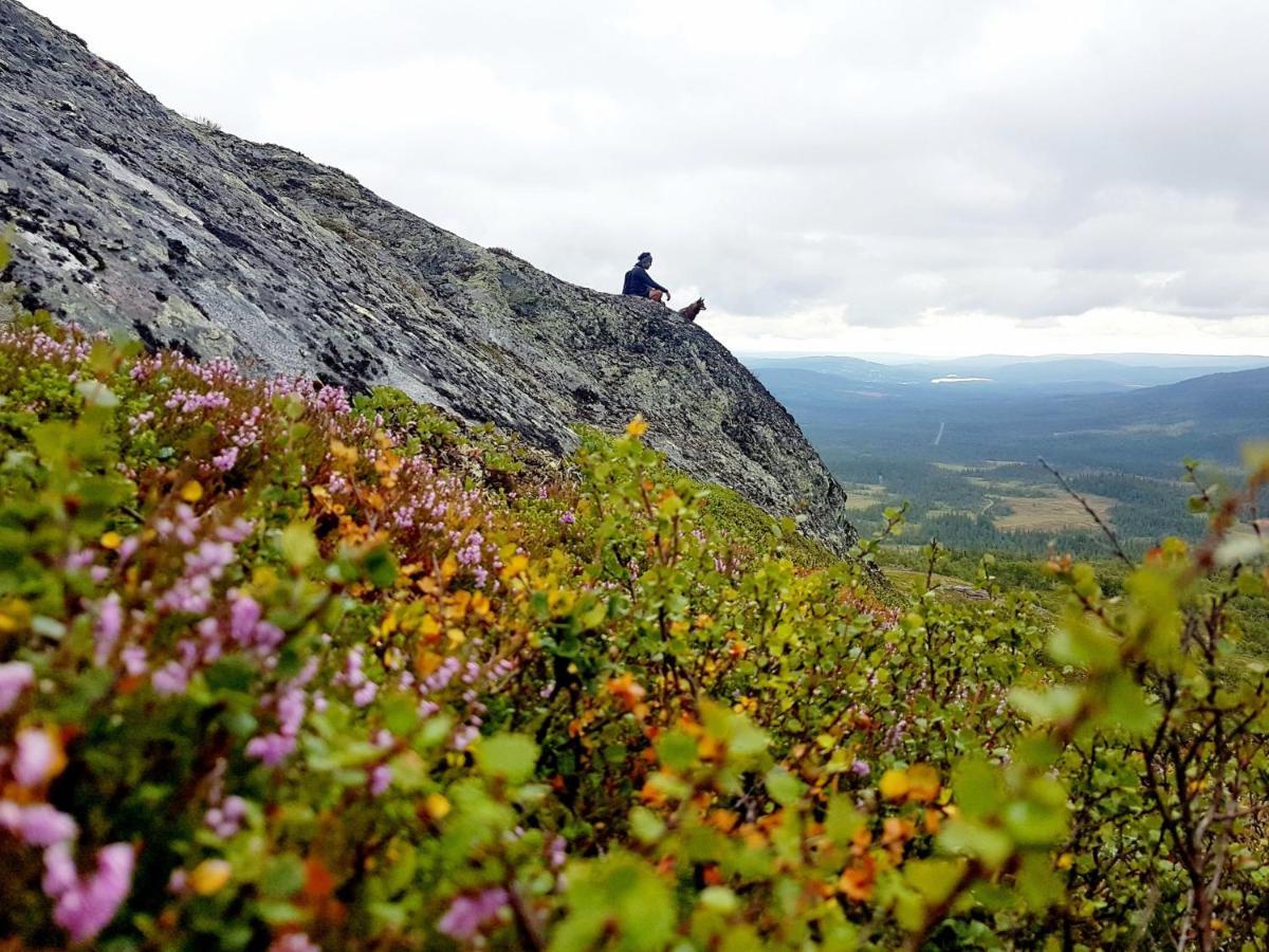 Renfjaellsgarden Hostel Edsasdalen Екстериор снимка