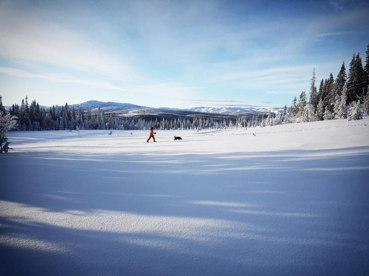 Renfjaellsgarden Hostel Edsasdalen Екстериор снимка