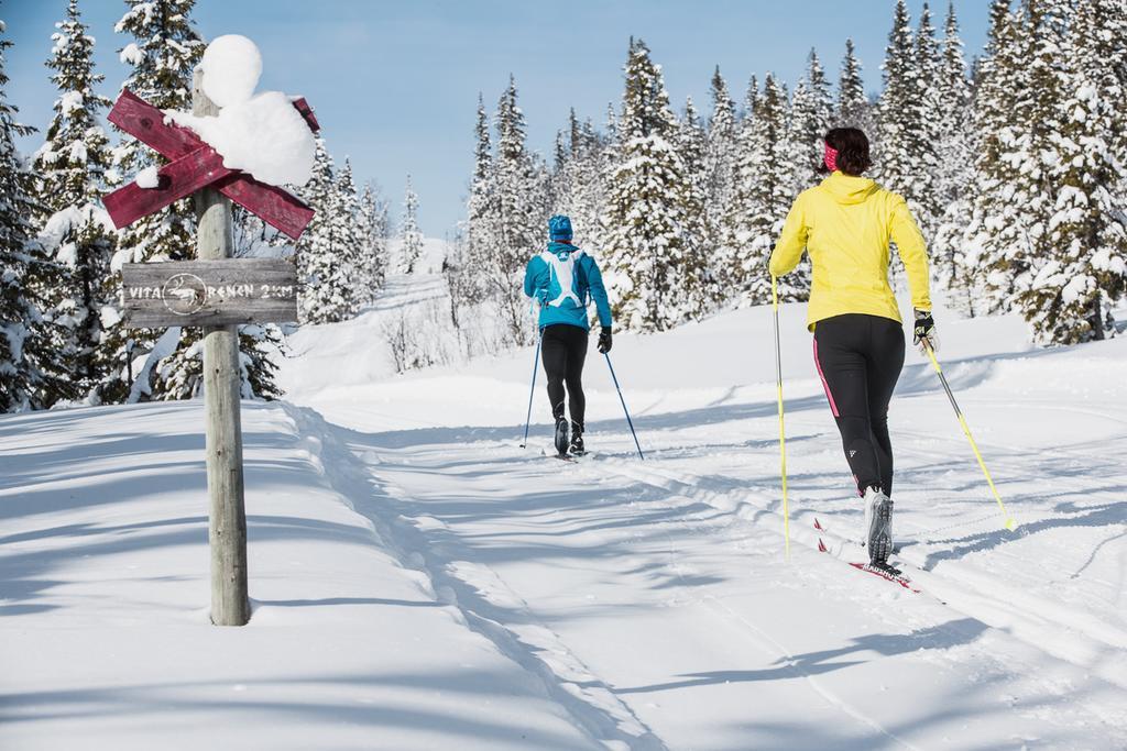 Renfjaellsgarden Hostel Edsasdalen Екстериор снимка